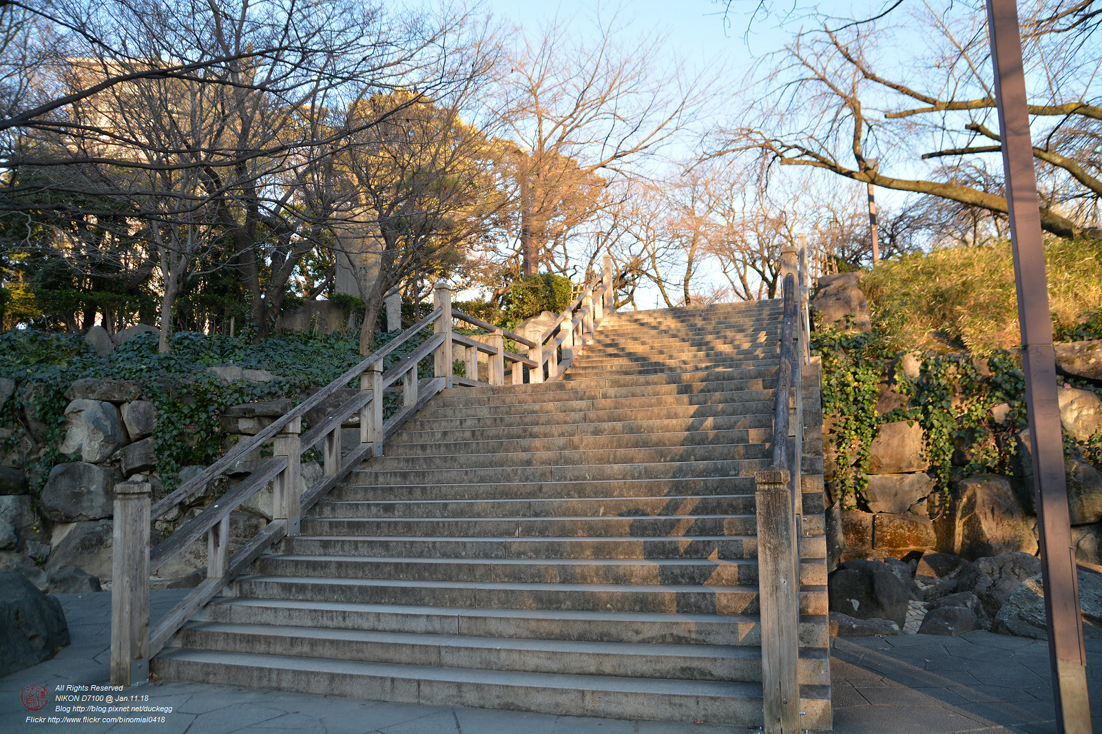 20180111144715_NIKON D7100.jpg